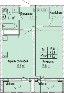 1К-квартира, 47,5 м2, 4&nbsp;этаж